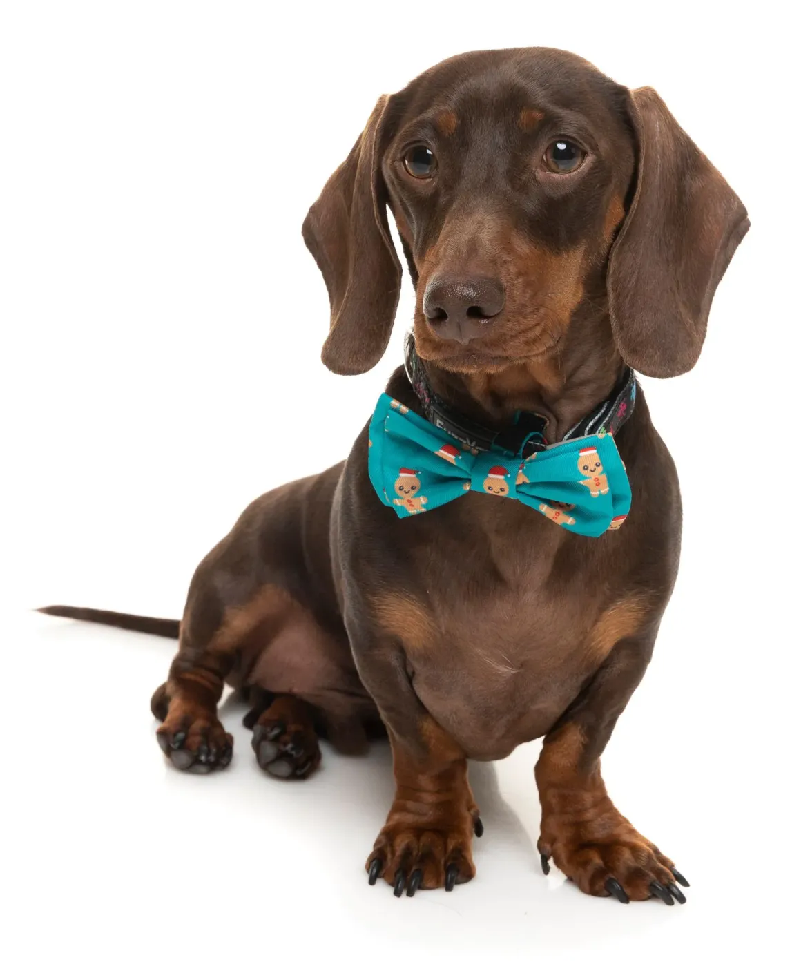 Gingerbread Man Bowtie