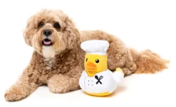 Gordon Quacksay - Dog Toy