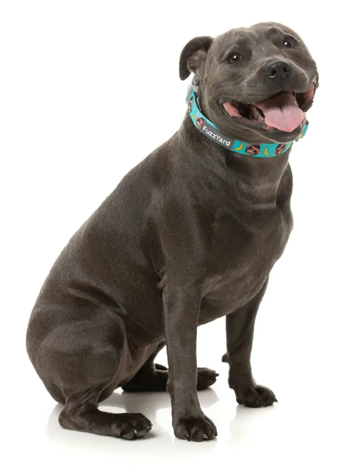Gor-illz - Dog Collar