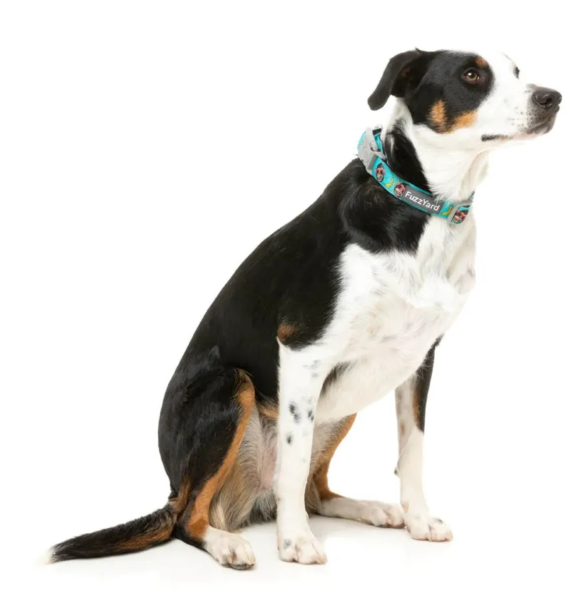 Gor-illz - Dog Collar