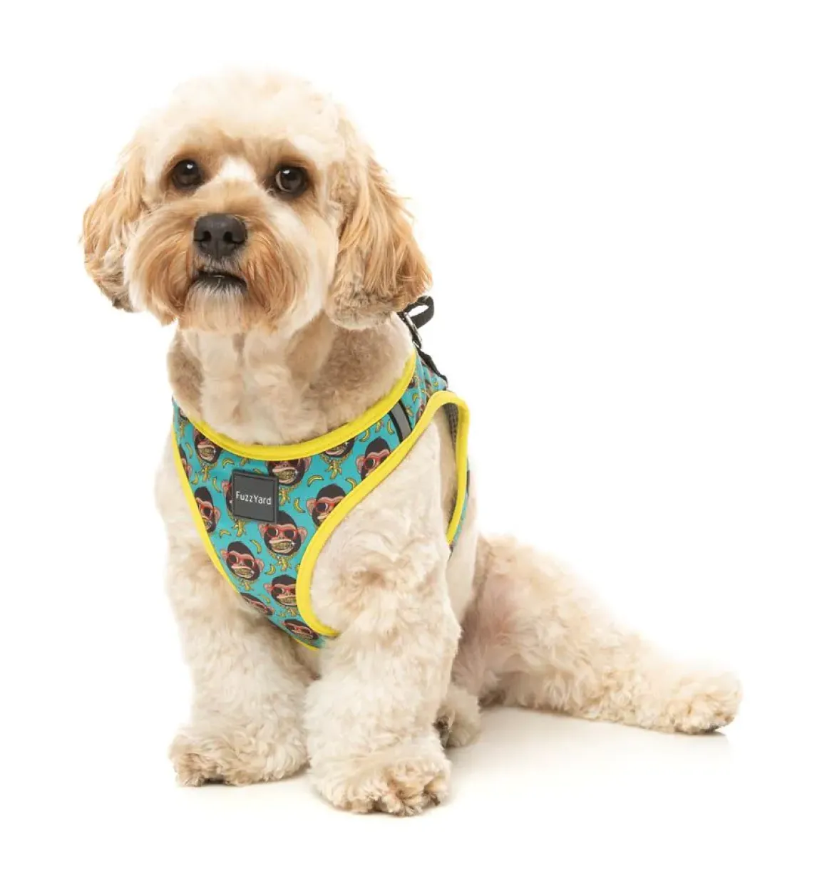 Gor-illz - Step In Harness