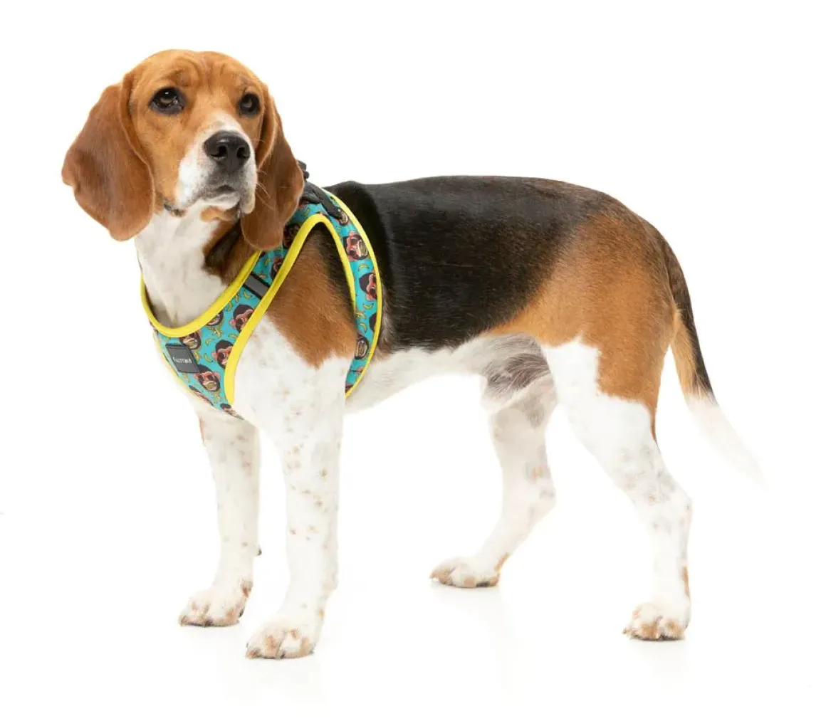 Gor-illz - Step In Harness