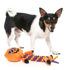 Gourdan Ramsay - Dog Toy