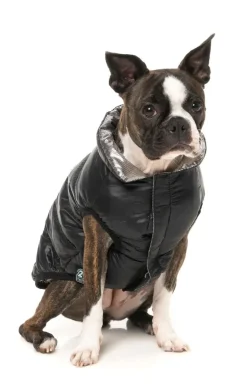 Hakuba Jacket - Black