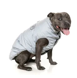 Hakuba Jacket - Reflective