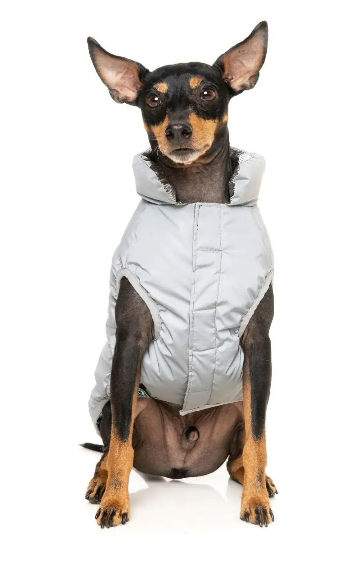 Hakuba Jacket - Reflective