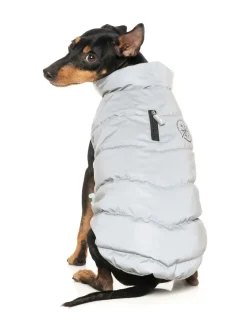 Hakuba Jacket - Reflective