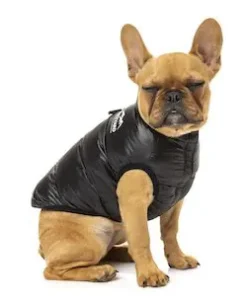 Harlem Puffer Jacket Black