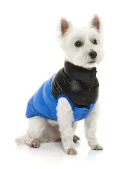 Harlem Puffer Jacket Blue