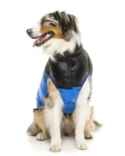 Harlem Puffer Jacket Blue