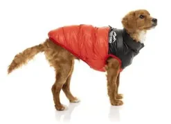 Harlem Puffer Jacket Red