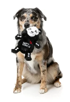 Haunts & Kisses Deaddy Bear - Dog Toy