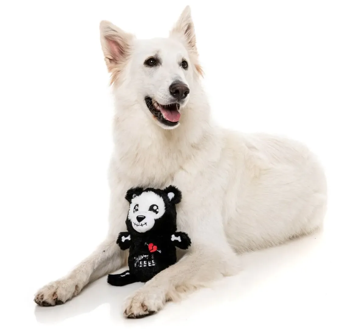 Haunts & Kisses Deaddy Bear - Dog Toy