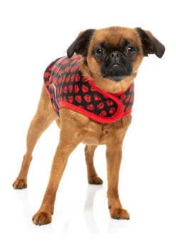 Heartbreaker Wrap Vest