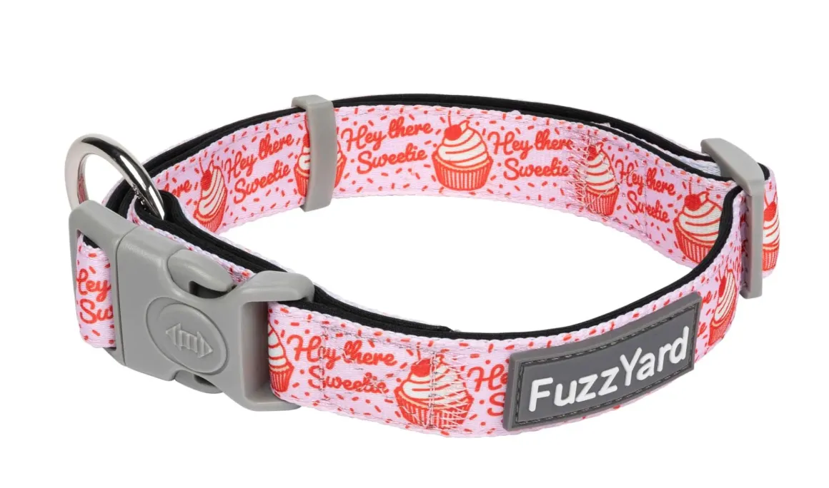 Hey There Sweetie - Dog Collar