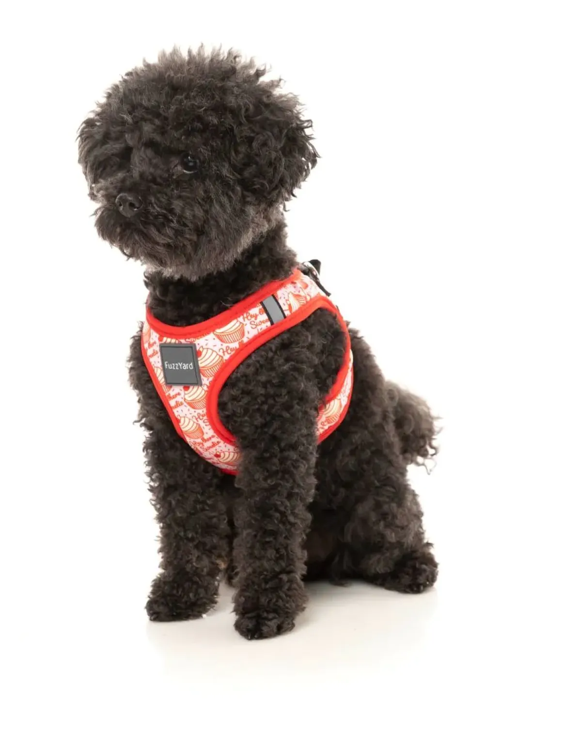 Hey There Sweetie - Step In Harness