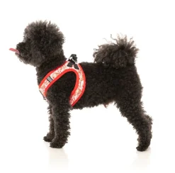 Hey There Sweetie - Step In Harness