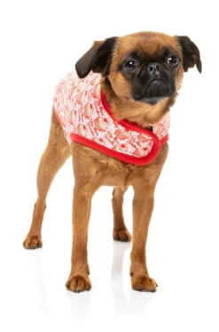 Hey There Sweetie Wrap Vest