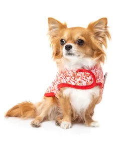 Hey There Sweetie Wrap Vest