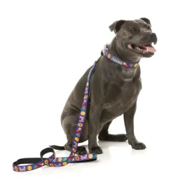 Highscore - Dog Leash