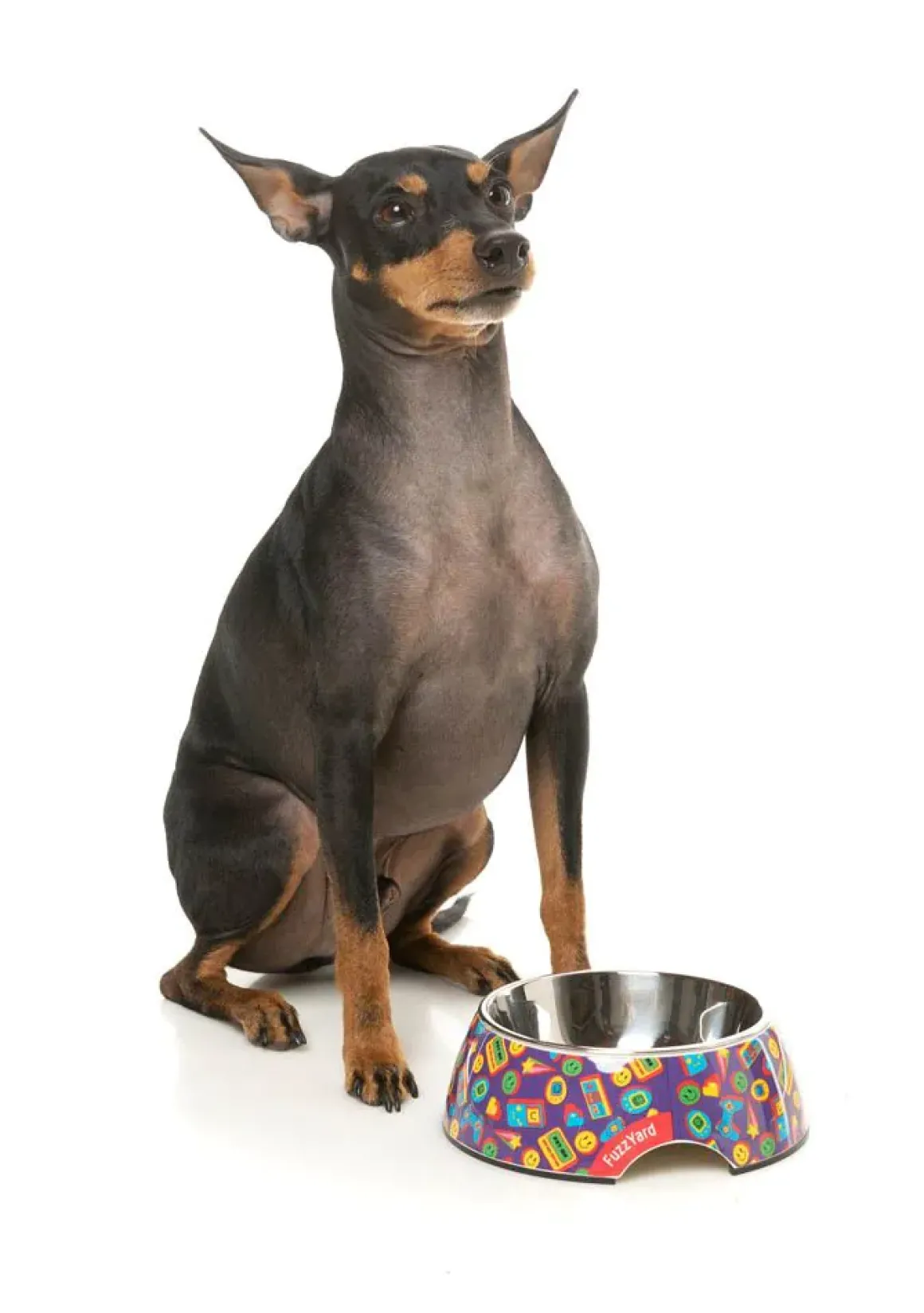 Highscore - Easy Feeder Bowl