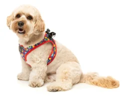 Highscore - Step In Harness