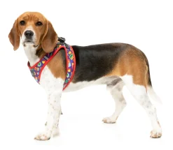 Highscore - Step In Harness