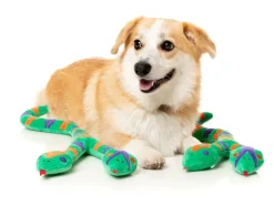 Hissy Elliot - Dog Toy