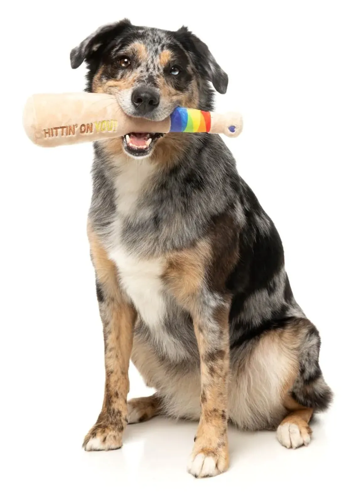 Hittin' On You Bat - Dog Toy