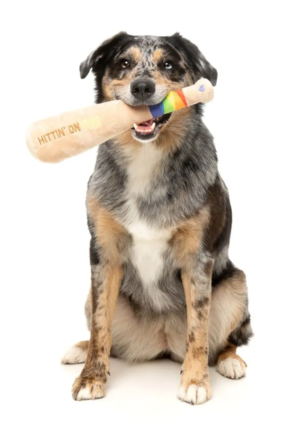 Hittin' On You Bat - Dog Toy
