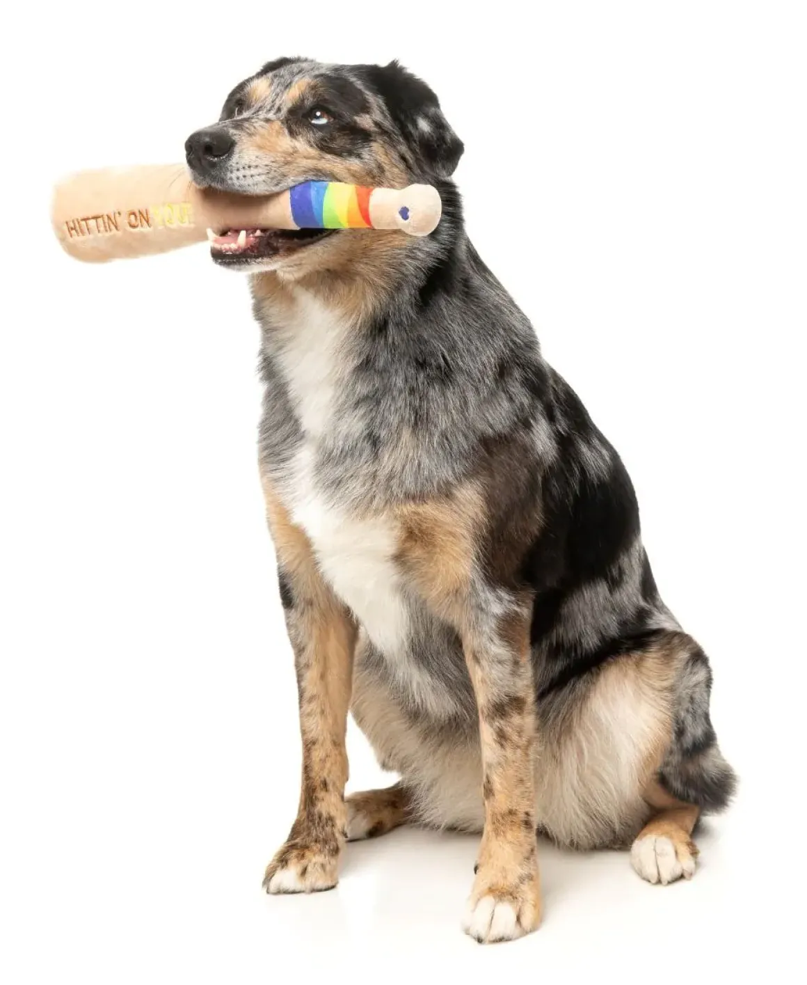 Hittin' On You Bat - Dog Toy