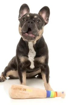 Hittin' On You Bat - Dog Toy