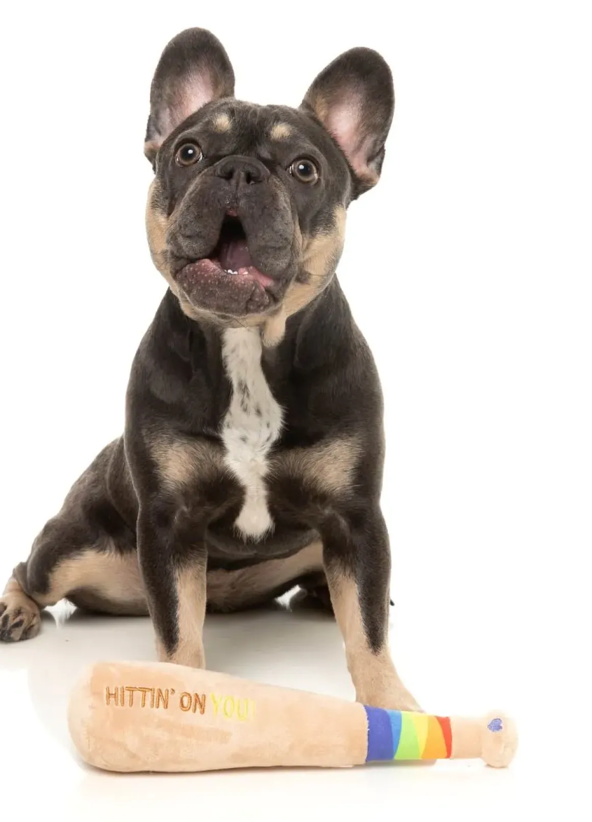 Hittin' On You Bat - Dog Toy