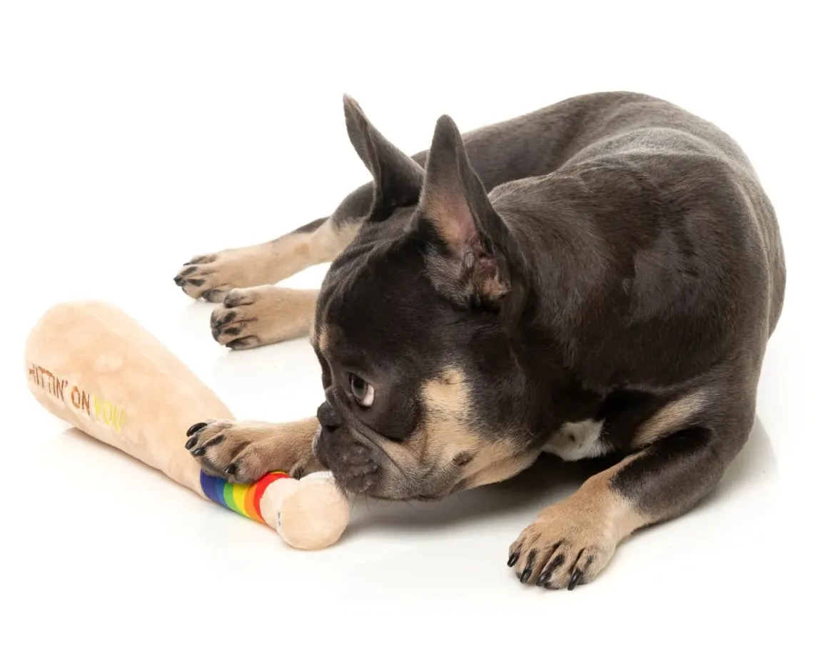 Hittin' On You Bat - Dog Toy