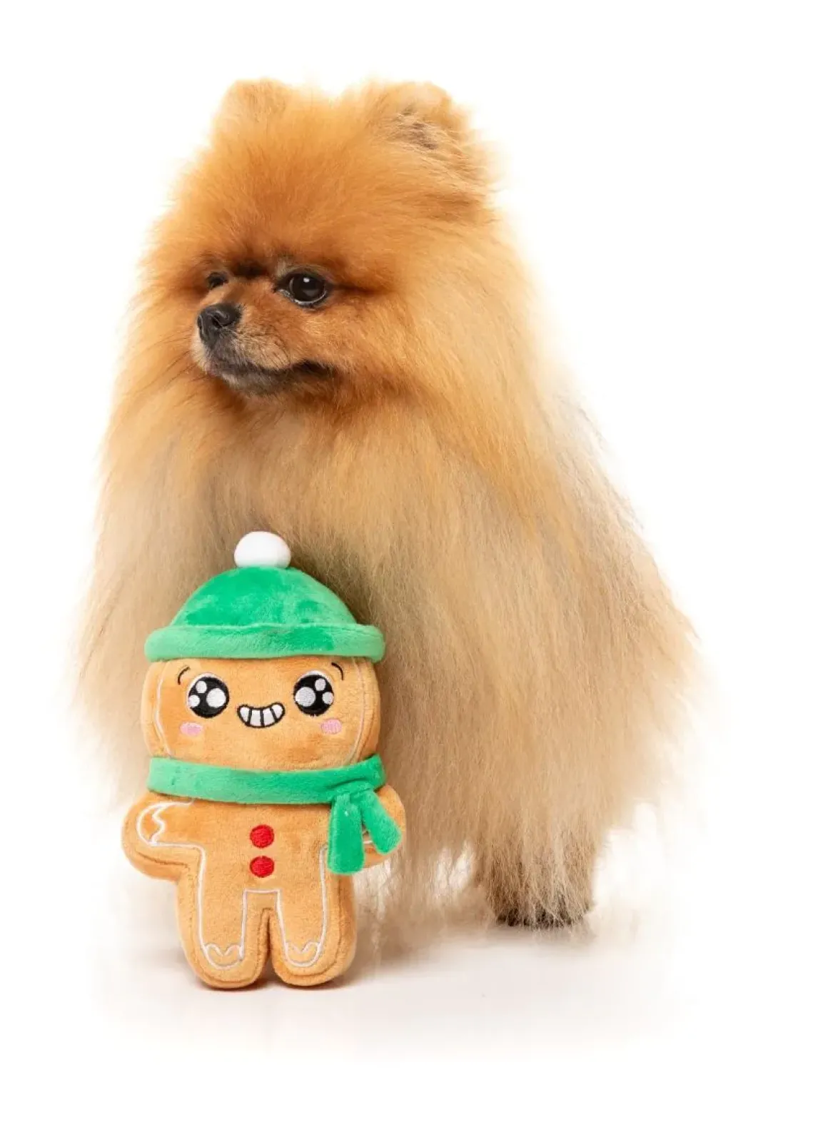 Holly Jolly Chillybread - Dog Toy