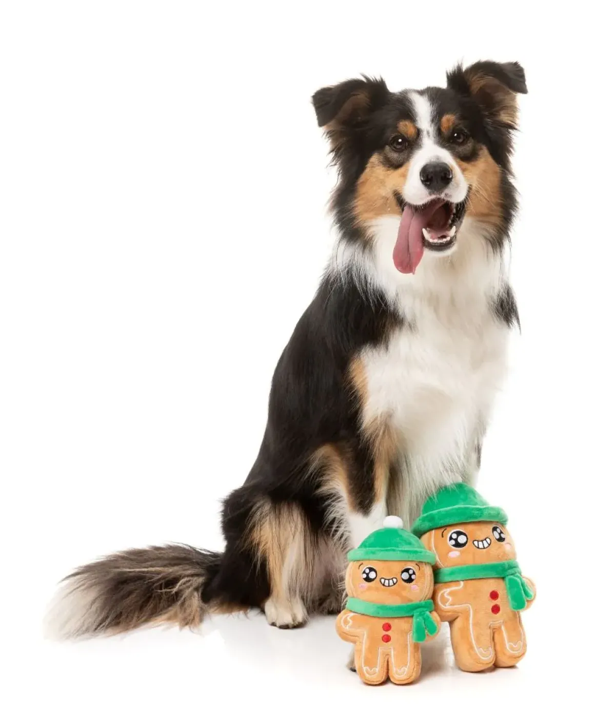 Holly Jolly Chillybread - Dog Toy