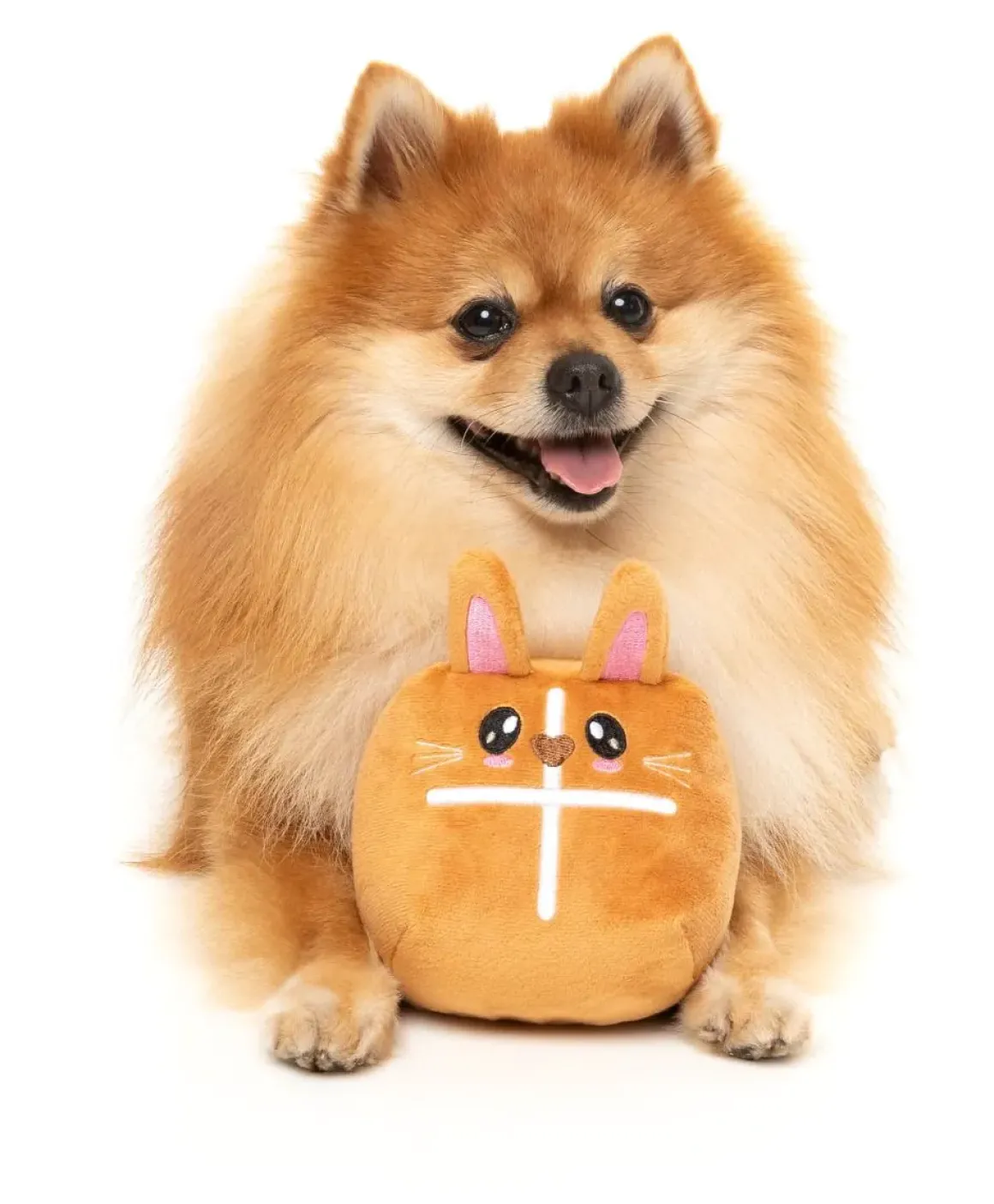 Hot Cross Bunny - Dog Toy