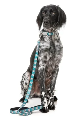 I Heart Candy Canes - Dog Lead