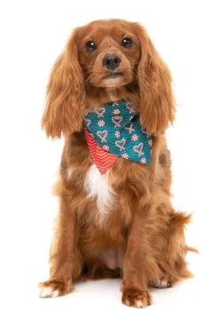 I Heart Candy Canes - Dog 2 Pack