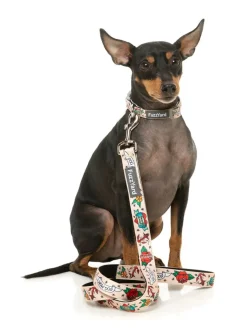 Ink'd Up - Dog Lead