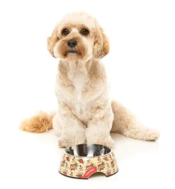 Ink'd Up - Easy Feeder Bowl