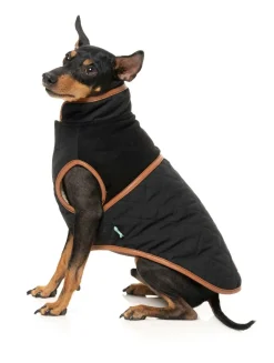 Ivanhoe Jacket - Black