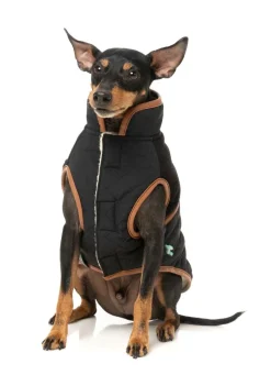 Ivanhoe Jacket - Black