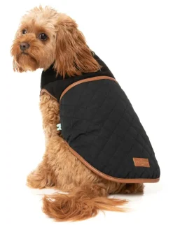 Ivanhoe Jacket - Black