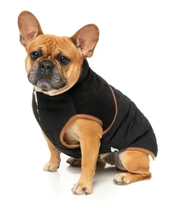 Ivanhoe Jacket - Black