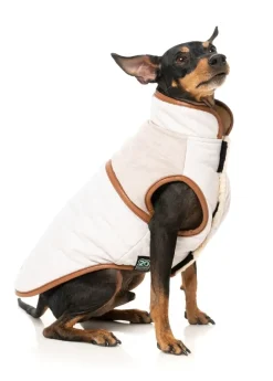 Ivanhoe Jacket - Ivory