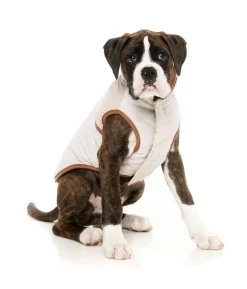 Ivanhoe Jacket - Ivory