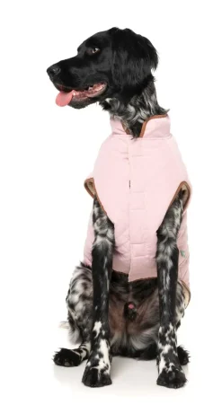 Ivanhoe Jacket - Pink