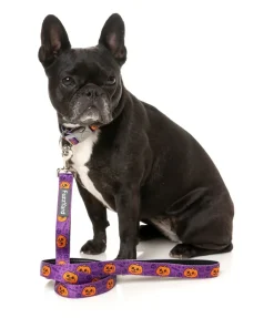 Jack Jack Jackie Lantern - Purple - Dog Lead