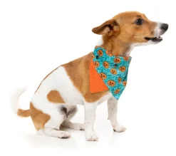 Jack Jack Jackie Lantern - Bandana - Teal